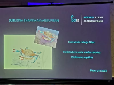 Modro rakovico na po&scaron;tni znamki je narisala Manja Ti&scaron;ler. /&nbsp;Foto: Katja Gle&scaron;čič