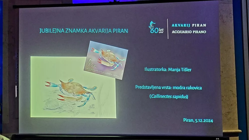 Modro rakovico na po&scaron;tni znamki je narisala Manja Ti&scaron;ler. /&nbsp;Foto: Katja Gle&scaron;čič