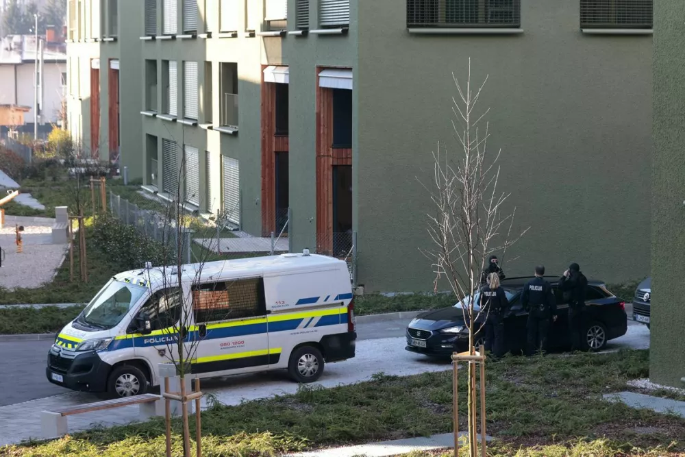 Hi&scaron;na preiskava v Črnučah