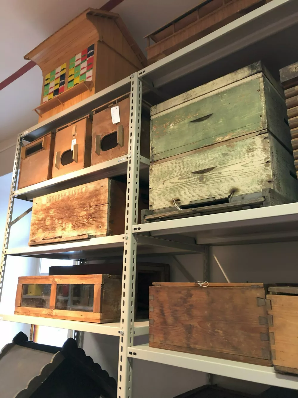 Ogledni depo čebelarskega muzeja.&nbsp;Foto: Eva Branc