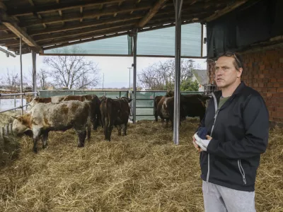 rejec Rudi Možgan- 18.01.2024 &ndash; Kmetija Možgan, Veni&scaron;e 16, Leskovec pri Kr&scaron;kem &ndash; vrnitev odvzete govedi, ki mu jih je 14. novembra lani zaradi zanemarjanja trajno odvzela veterinarska in&scaron;pektorica  //FOTO: Luka Cjuha