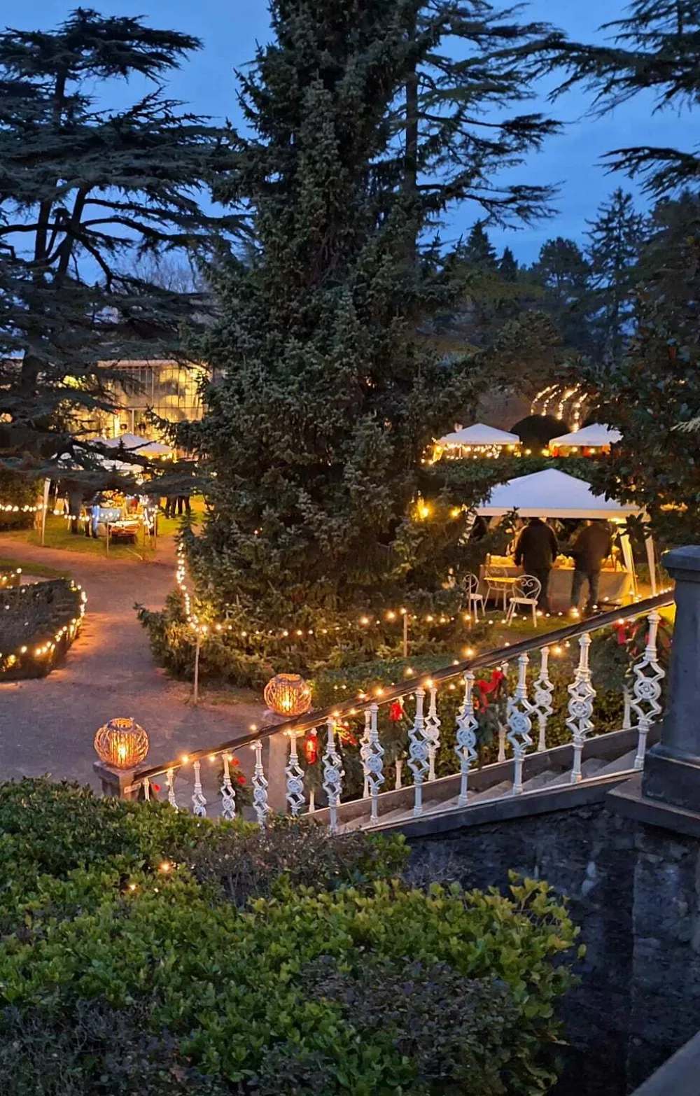 V okviru Praznične Sežane so poleg mestnih ulic tudi letos okrasili botanični vrt. Tako se lahko obiskovalci do 5. januarja 2025 vsak dan sprehodijo po okra&scaron;enem vrtu, ki so jo ustvarili v sodelovanju z aranžerskim mojstrom svetovnega kova Simonom Ogrizkom ter dijaki Srednje &scaron;ole Srečka Kosovela Sežana. Foto: Občina Sežana