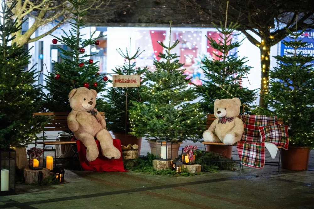 Na tamkaj&scaron;njem Titovem trgu stoji 20 metrov visoka novoletna jelka, sicer pa je letos nekoliko drugačna razsvetljava od preteklih let, pri kateri stavijo na tople svetlobne elemente v zlatih in rdečih tonih.Med 19. in 22. ter med 26. in 29. decembrom bo v mestu ponovno zaživela Čarobna promenada, ki jo bo zaznamoval živahen vrvež žanrsko različnih dogodkov za vse generacije in okuse, dogajanje pa bo zavito v topel zimski objem prijetnega ambienta z gostinsko ponudbo, toplimi kuri&scaron;či in z otro&scaron;kim kotičkom. Pestro decembrsko dogajanje pa ne bo potekalo le na prostem, ampak bodo &scaron;tevilni dogodki v vseh kulturnih ustanovah mesta in po krajevnih skupnostih. F Občina Velenje