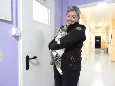 Tatjana Lenko je lastnica zaveti&scaron;ča in hotela za živali Zonzani. Muca Zorica je najdenka in čaka na ljubeč dom. / Foto: Katja Petrovec