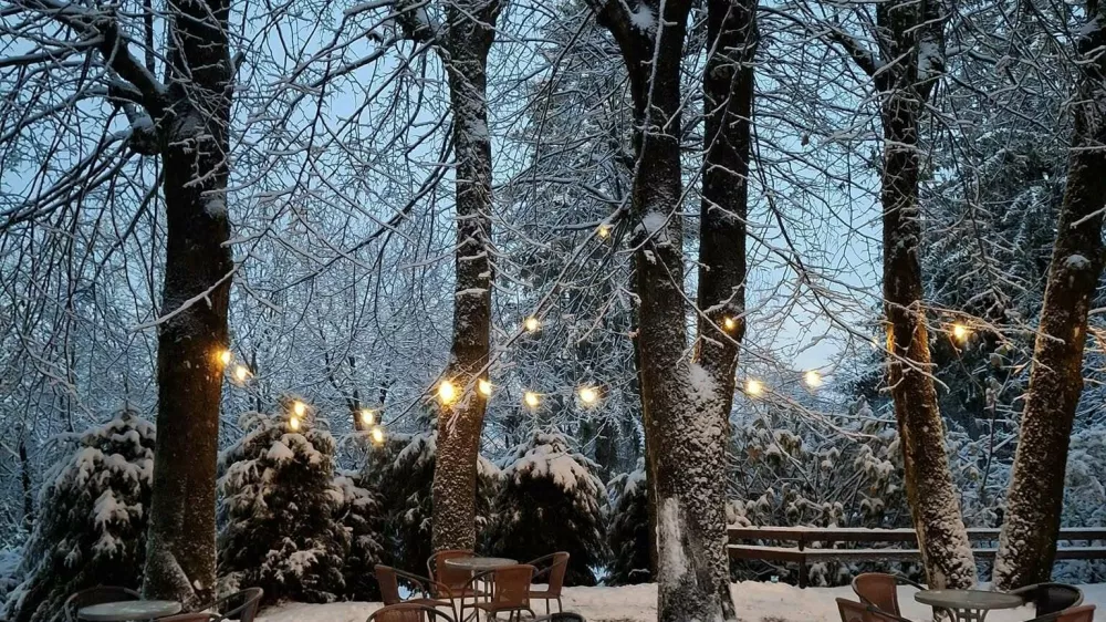 Na Kure&scaron;čku Bojana Bačar ustvarja pravi raj. 