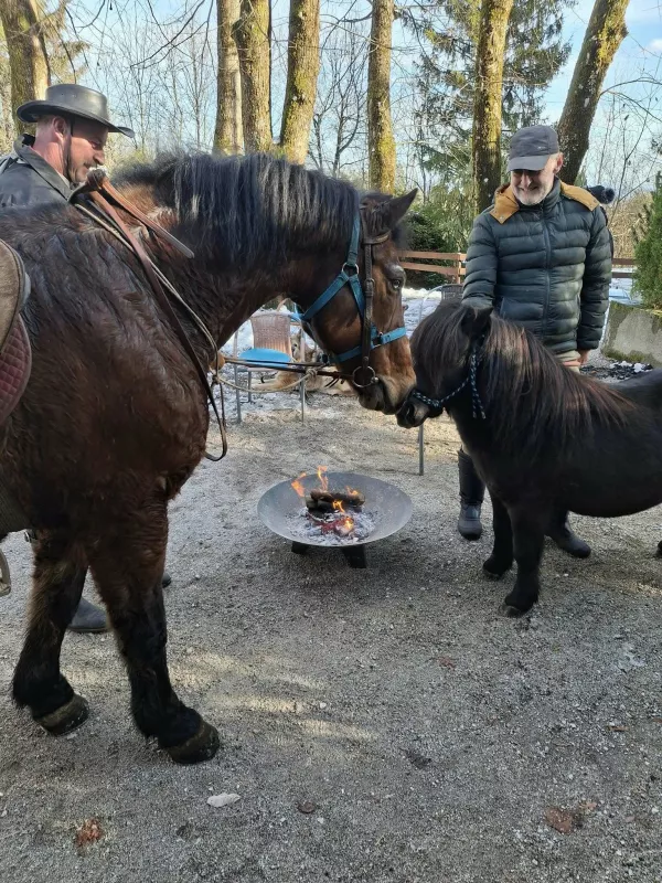 Med rednimi obiskovalci brunaric Castalita so tudi člani lokalnega konjeni&scaron;kega kluba