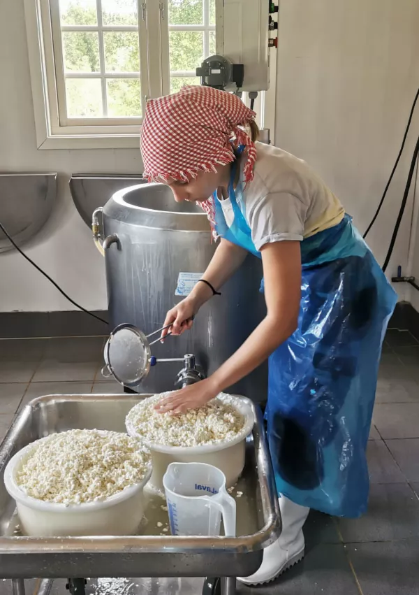 F&auml;bod in seter / Foto: Unesco