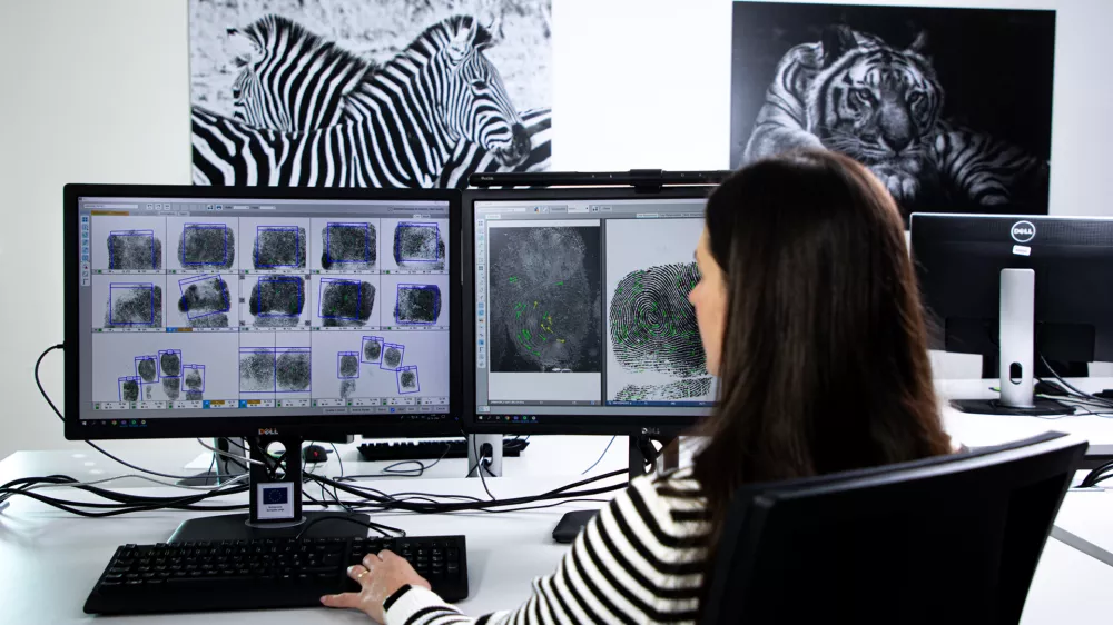 V Nacionalnem forenzičnem laboratoriju poteka pregledovanje prstnih odtisov. / Foto:&nbsp;arhiv policije