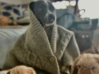 Pes Lefty F instagram