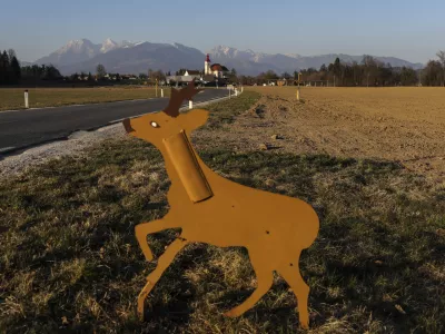 - 23.03.2022 &ndash; Su&scaron;a v Sloveniji - kmetijske povr&scaron;ine, kmetovanje, suha zemlja, njiva, živali na cesti, srna /FOTO: Jaka Gasar