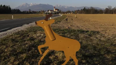 - 23.03.2022 &ndash; Su&scaron;a v Sloveniji - kmetijske povr&scaron;ine, kmetovanje, suha zemlja, njiva, živali na cesti, srna /FOTO: Jaka Gasar