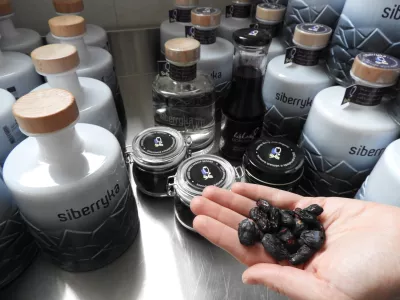 hi&scaron;ka borovnichaskap borovnice / Foto: Katja Petrovec