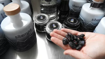 hi&scaron;ka borovnichaskap borovnice / Foto: Katja Petrovec