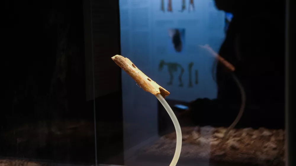 Neandertalčeva pi&scaron;čal iz Divjih bab v&nbsp; Narodnem&nbsp;muzeju Slovenije / Foto: Bojan Velikonja/dokumentacija