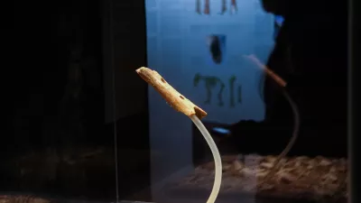 Neandertalčeva pi&scaron;čal iz Divjih bab v&nbsp; Narodnem&nbsp;muzeju Slovenije / Foto: Bojan Velikonja/dokumentacija