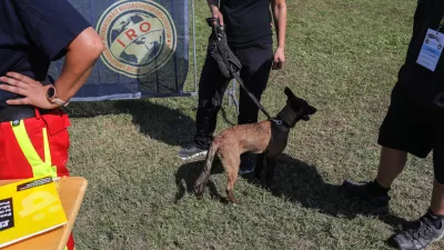 re&scaron;evalni pes in vodnik - 19.09.2018 &ndash; 24. IRO svetovno prvenstvo re&scaron;evalnih psov v organizaciji dru&scaron;tva Enote vodnikov re&scaron;evalnih psov Ljubljana, ki se ga je udeležilo 134 tekmovalcev iz 26 držav &ndash; re&scaron;evalni psi - //FOTO: Jaka Gasar