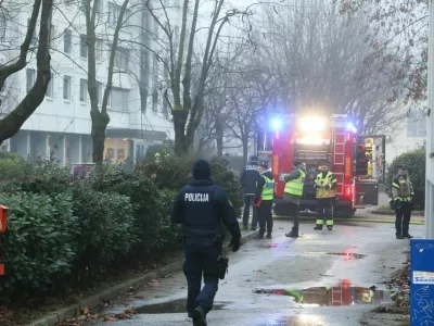 Požar v dija&scaron;kem domu