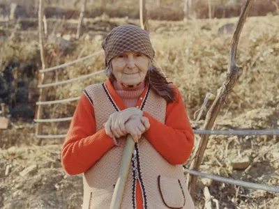 Navadna hru&scaron;ka režiserja in scenarista Gregorja Božiča