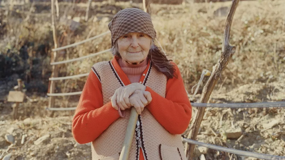 Navadna hru&scaron;ka režiserja in scenarista Gregorja Božiča