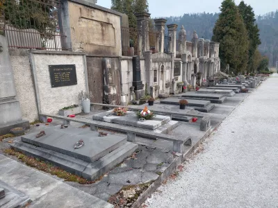 Pokopali&scaron;če Celje, celjsko pokopali&scaron;če