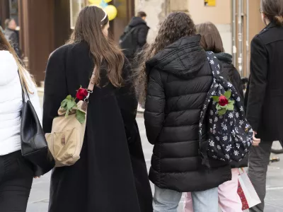 Valentinovo- 14.2.2024 - Pomlad je pri&scaron;la v mesto.// FOTO: Nik Erik Neubauer