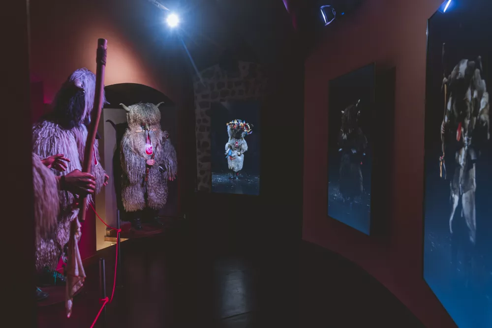 Kurentove hi&scaron;e pa si lahko ogledate tudi 10-minutni avtorski film o kurentovem obredju.