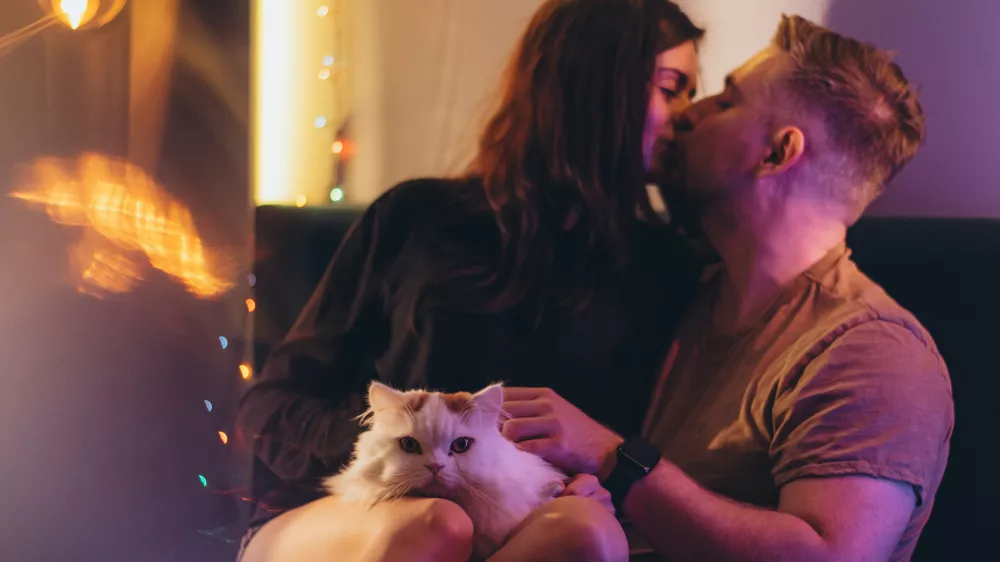 A couple of a guy and a girl are sitting on a bed in a room with colored lighting. A guy and a girl kiss. A girl has a white cat sitting in her arms / Foto: Illiak