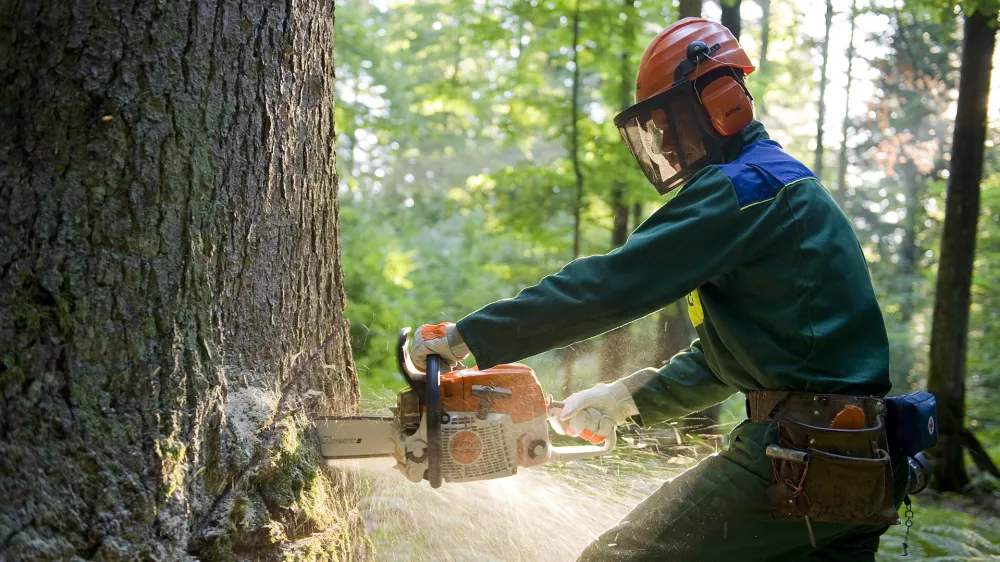 Marjan Dolen&scaron;ek opozarja, da pri delu v gozdu in na splo&scaron;no z motorno žago velja pravilo &raquo;hiti počasi in upo&scaron;tevaj vsaj osnovna pravila za varno delo&laquo; tudi takrat, ko se zdi, da moramo kak&scaron;no stvar narediti na horuk. / Foto: Jo&scaron;t Bukovec