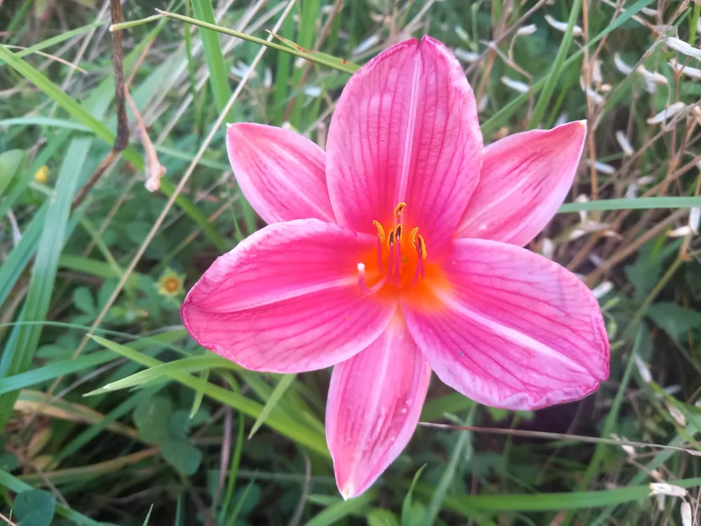 maslenica kmetija Mazej / Foto: Osebni Arhiv Jerneja Mazeja