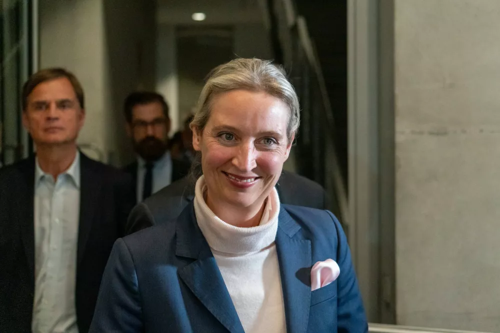 Alice Weidel  / Foto: Profimedia