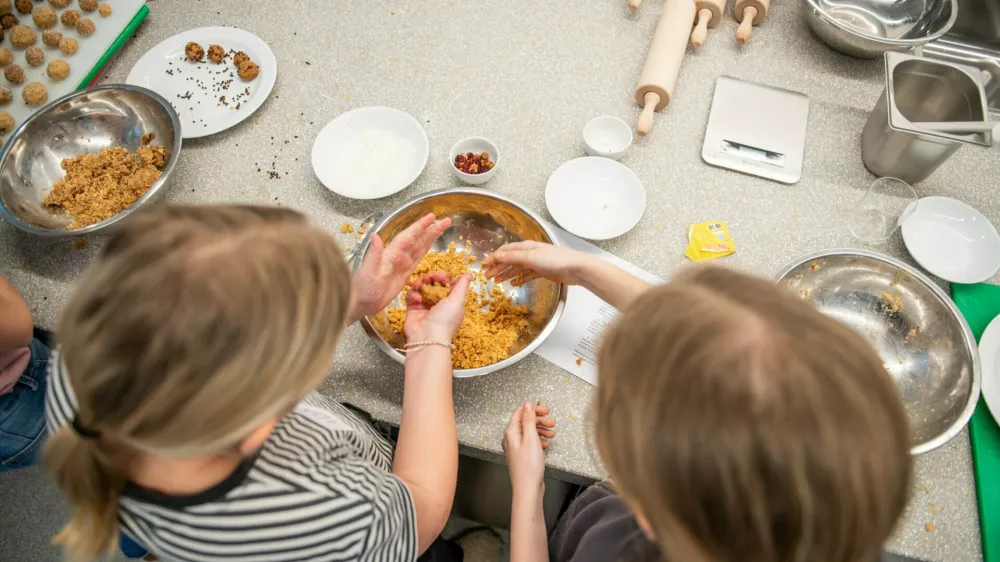 Center Rog otro&scaron;ke delavnice