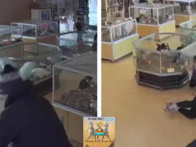 Vir: &Scaron;evifov urad iz okrožja Arapahoe