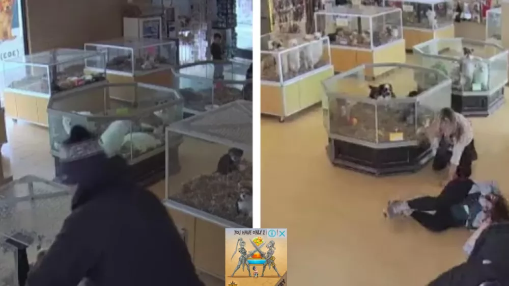 Vir: &Scaron;evifov urad iz okrožja Arapahoe