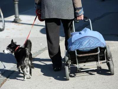 - simbolična fotografija 2017 - upokojenci, starostniki, starej&scaron;i občani, starost, osamljenost, pes, nakupovalni voziček, //FOTO: Toma Skale
