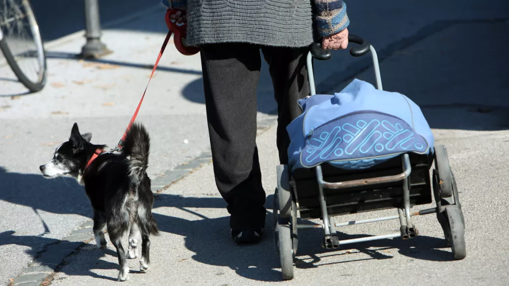 - simbolična fotografija 2017 - upokojenci, starostniki, starej&scaron;i občani, starost, osamljenost, pes, nakupovalni voziček, //FOTO: Toma Skale