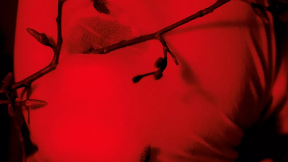 Lučka Centa: ved'ma, performans