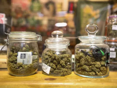 Med kupci so najbolj priljubljeni vr&scaron;ički CBD. Foto:&nbsp;Bojan Velikonja