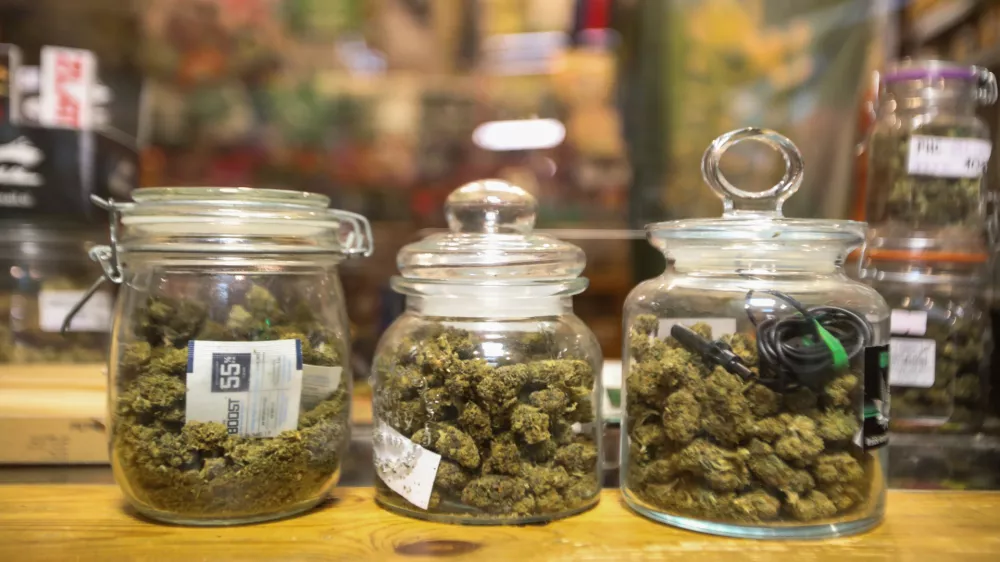 Med kupci so najbolj priljubljeni vr&scaron;ički CBD. Foto:&nbsp;Bojan Velikonja