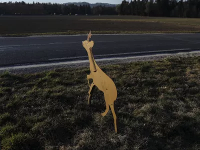 - 23.03.2022 &ndash; Su&scaron;a v Sloveniji - kmetijske povr&scaron;ine, kmetovanje, suha zemlja, njiva, živali na cesti, srna /FOTO: Jaka Gasar