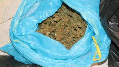 Poleg sadik konoplje so na&scaron;li tudi pet kilogramov posu&scaron;enih vr&scaron;ičkov. Foto: Policija&nbsp;