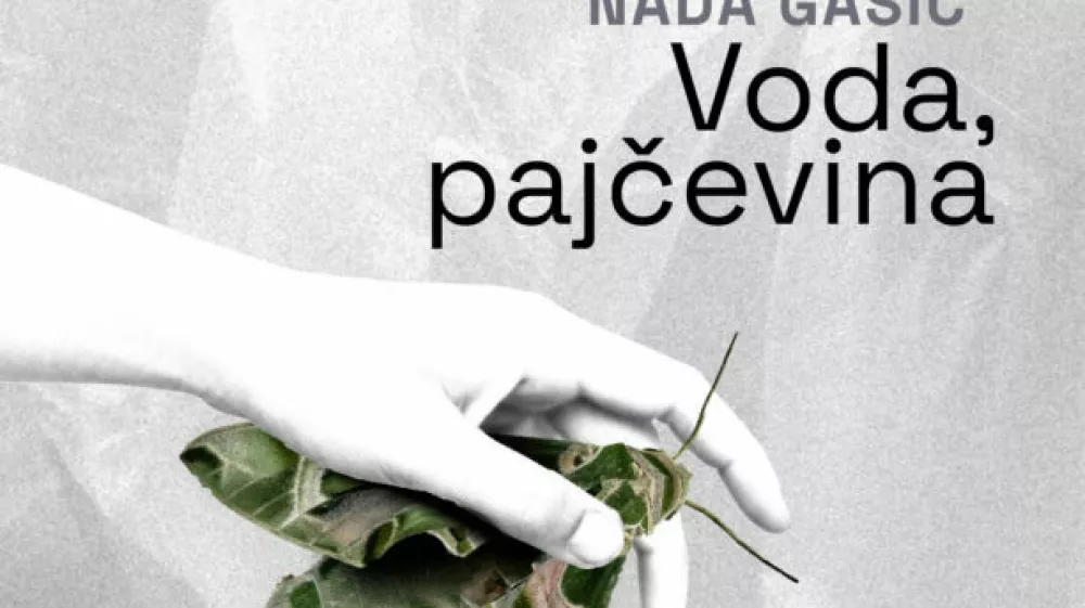 Nada Ga&scaron;ić - Voda, pajčevina