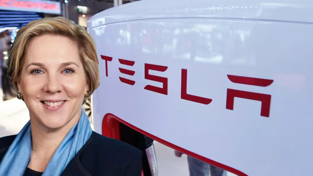 robyn denholm, tesla