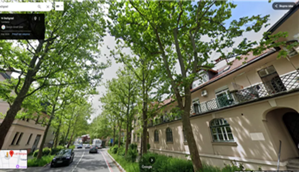  Drevored platan na ulici Bežigrad