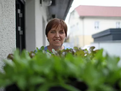 Težko je pridelati ar semena solate, a &scaron;e težje je to količino semena prodati, pravi Fanči Perdih. / Foto: Bojan Velikonja