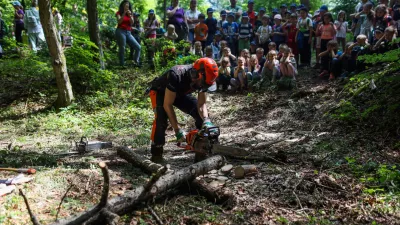 - 23.05.2023 - Vseslovenski Teden gozdov 2023 na temo Gozdovi prihodnosti - Prireditev "Gozd, voda in mlinček", Sračja dolina pri Črnučah - potok Črnu&scaron;njica //FOTO: Bojan Velikonja / Foto: Bojan Velikonja