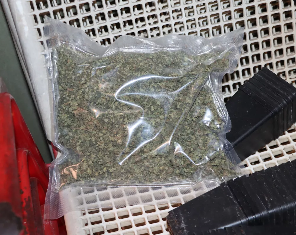 zaseg hi&scaron;na preiskava