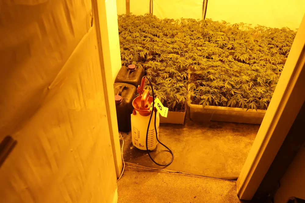 zaseg hi&scaron;na preiskava