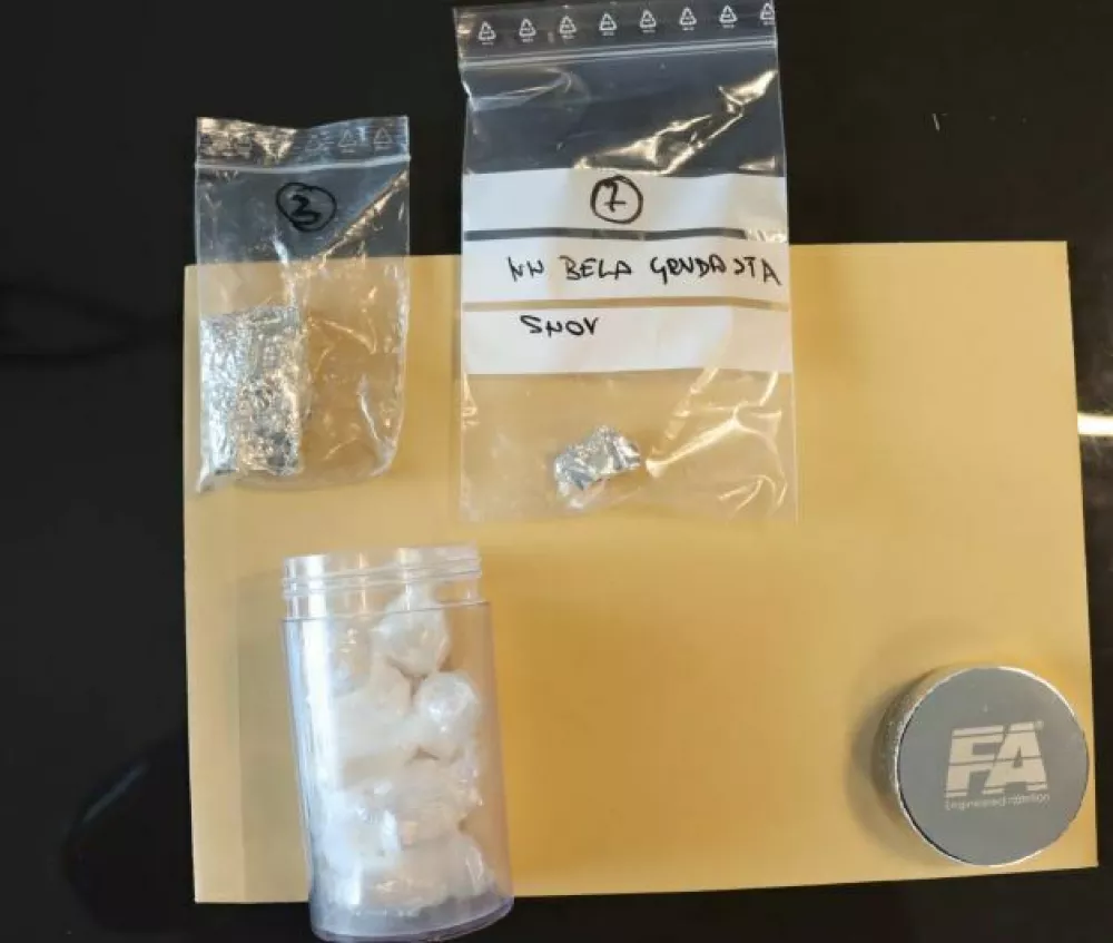 zaseg hi&scaron;na preiskava