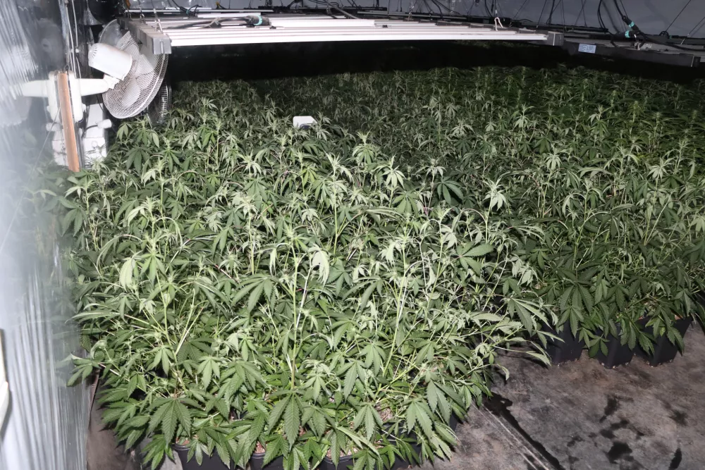 zaseg hi&scaron;na preiskava