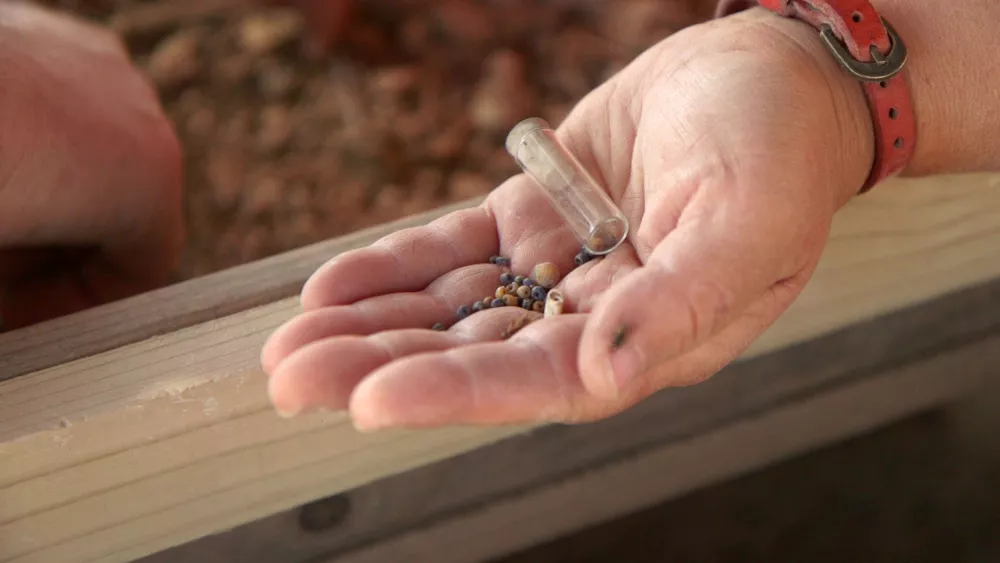 Piramida Izrael najdbe Foto: Israel Antiquities Authority